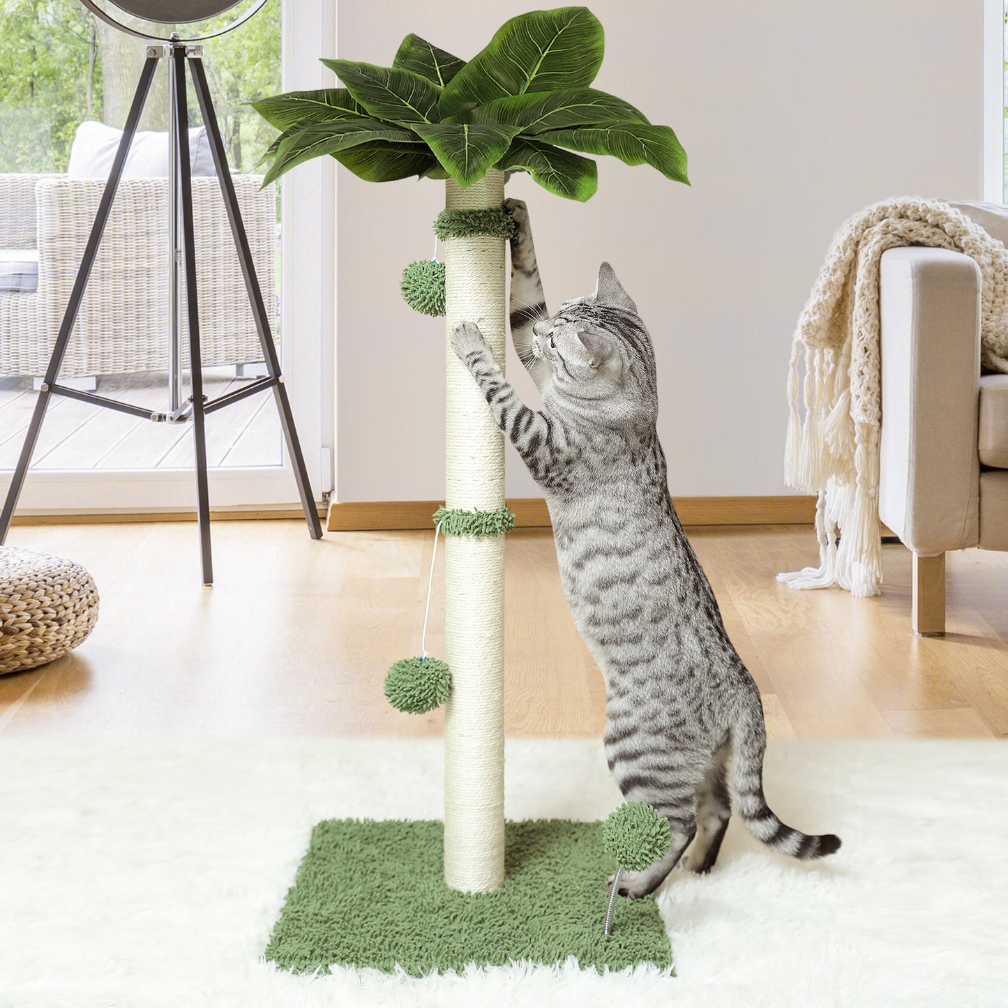 Cat Scratching Post