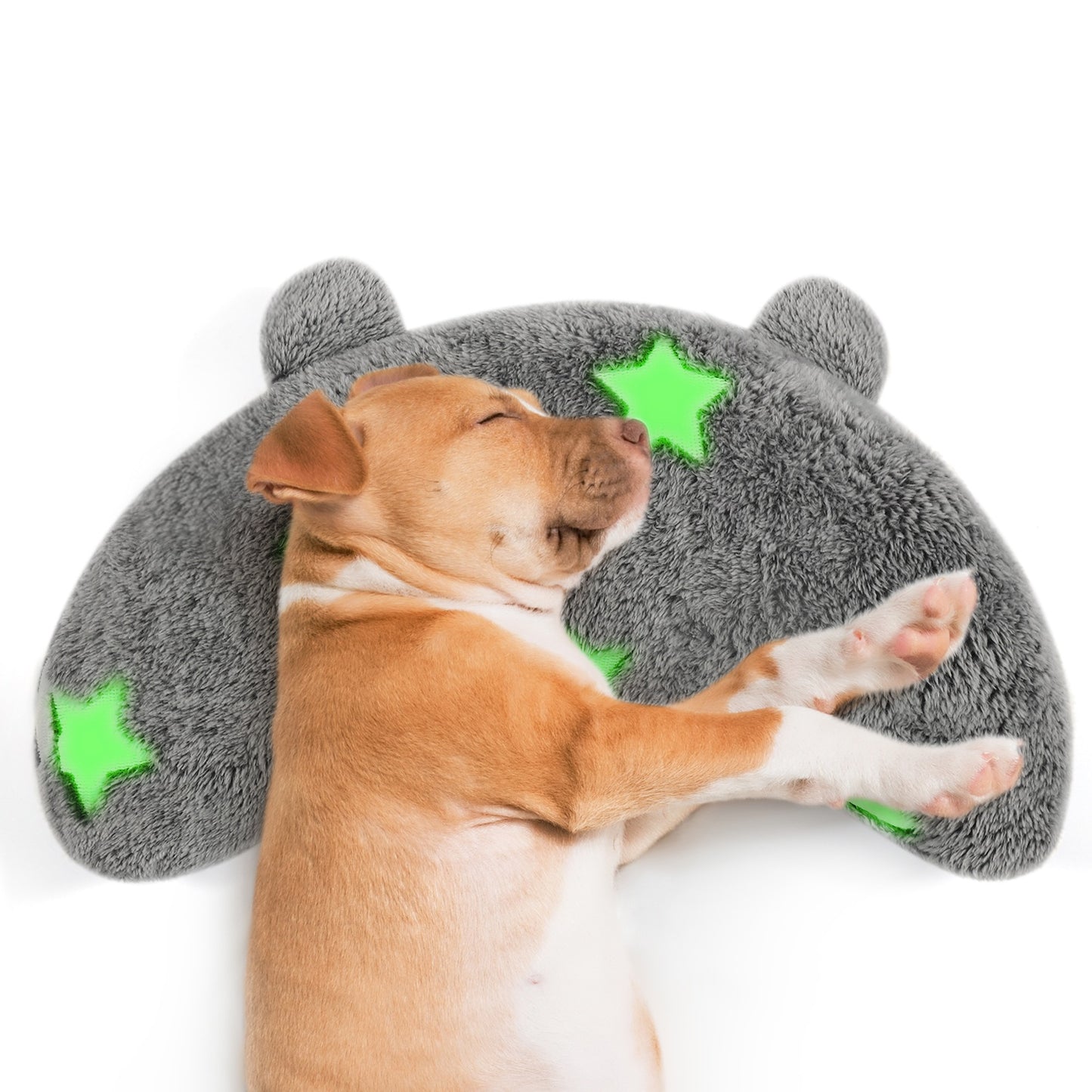 Glow in the dark Pet Pillows