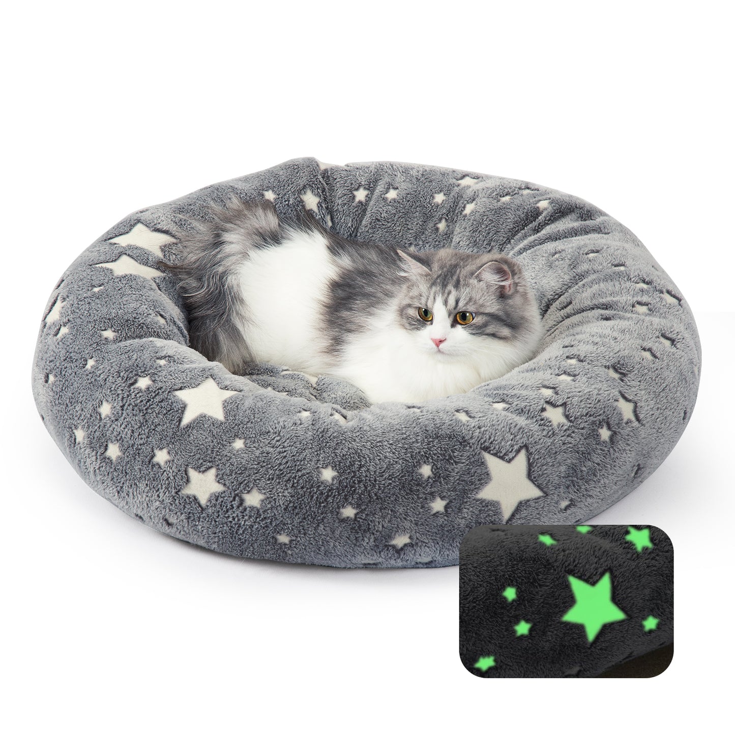 Glow in the dark Pet Bed