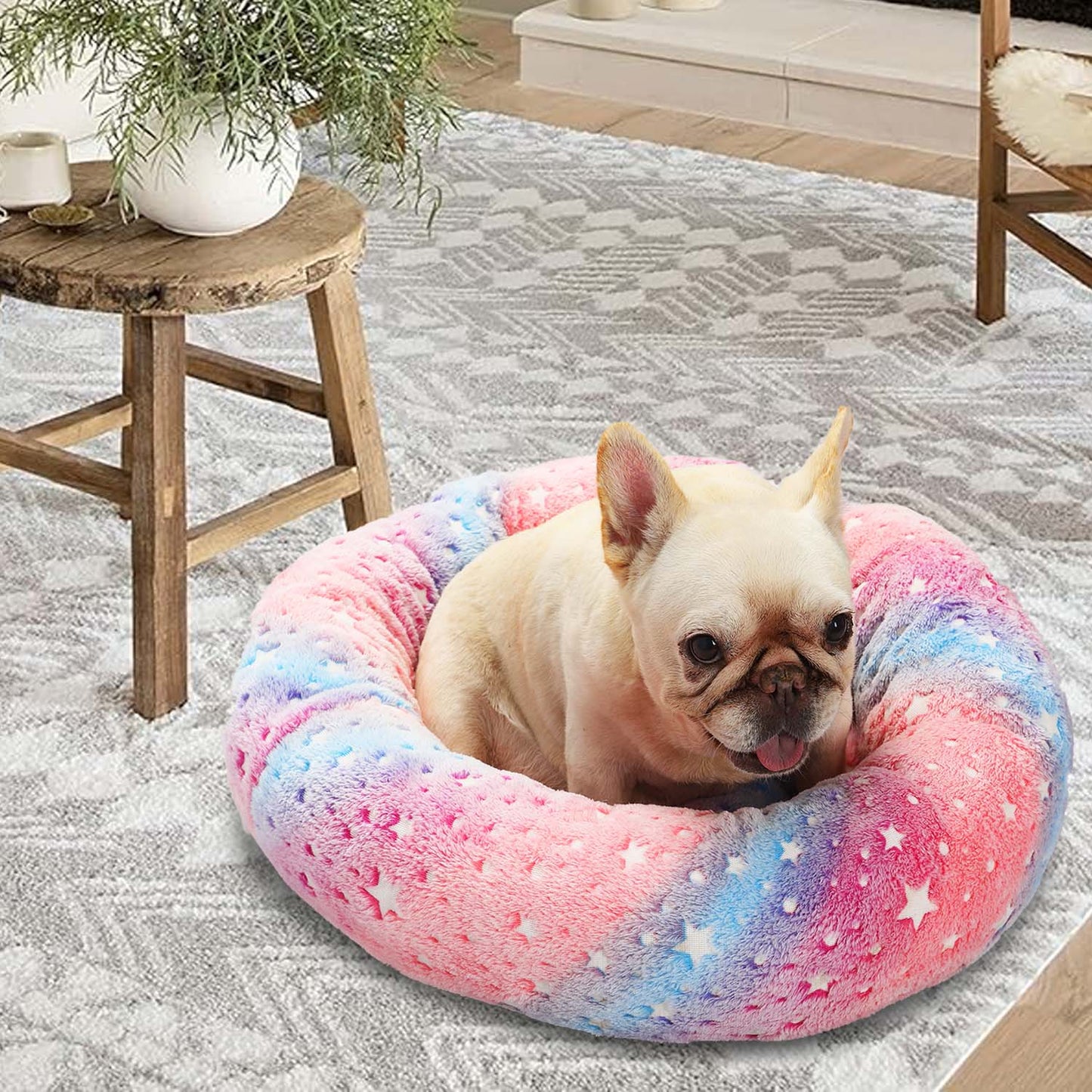 Glow in the dark Pet Bed