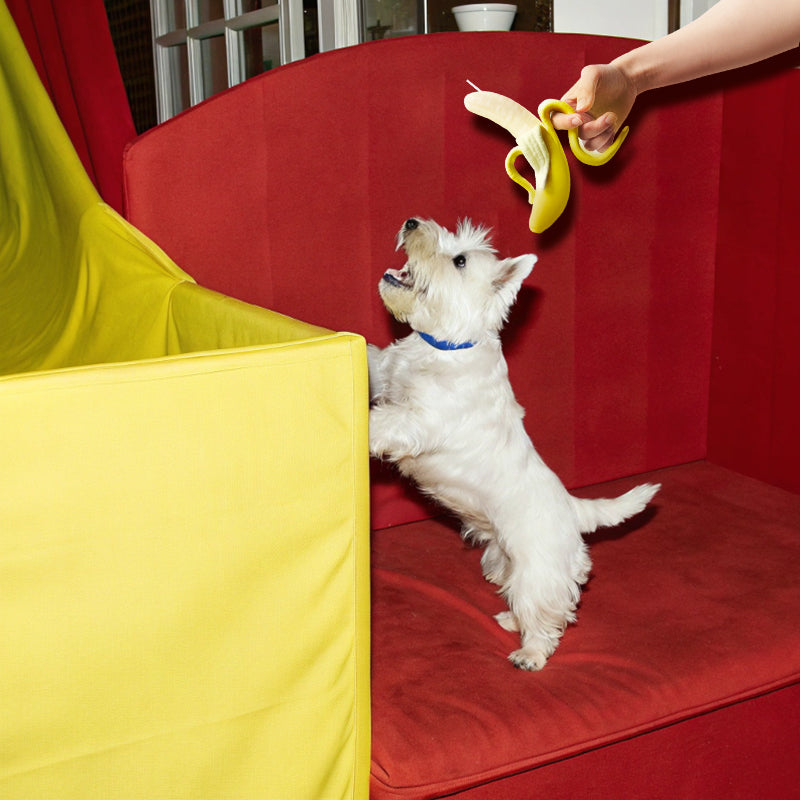 Pet Friendly Candles-banana