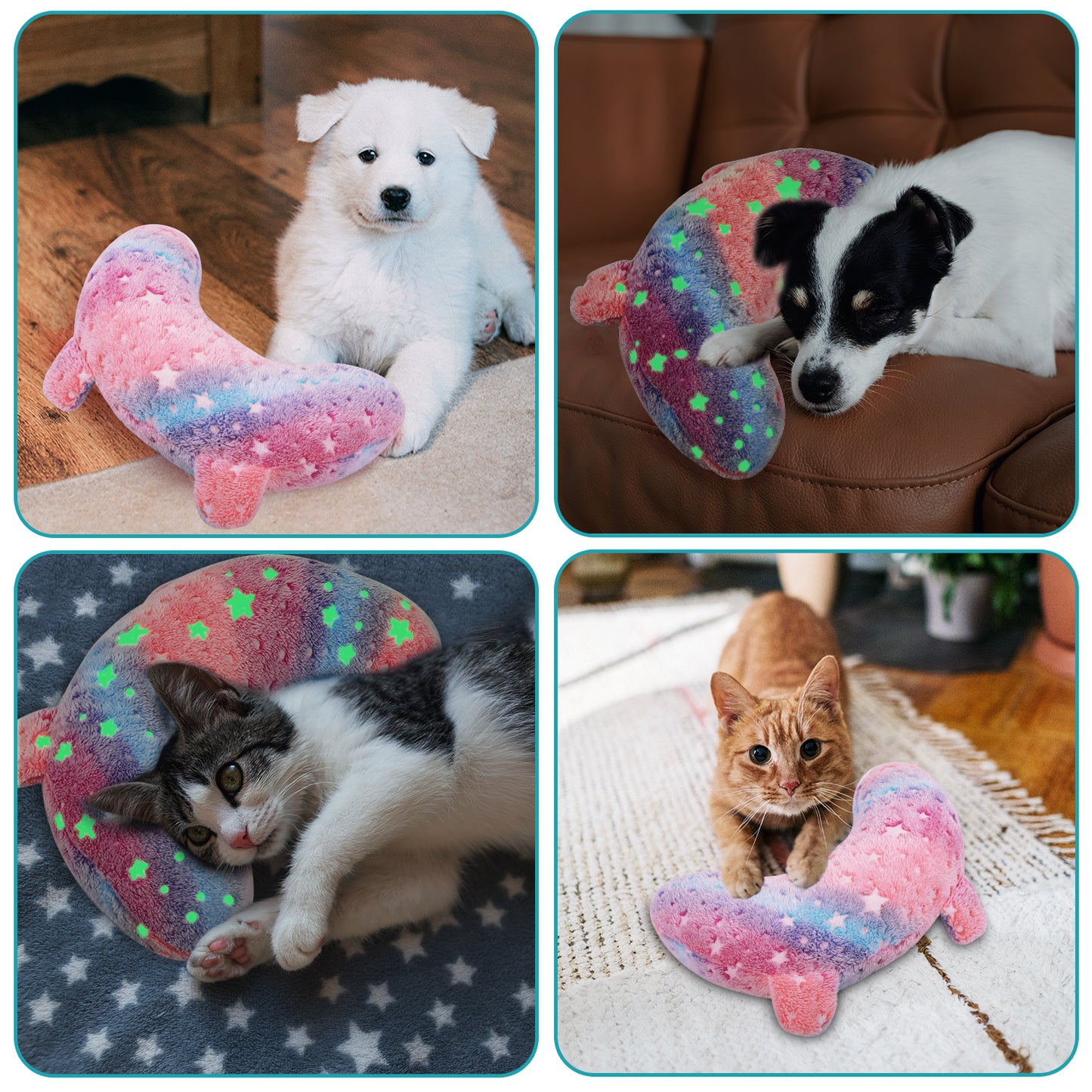 Glow in the dark Pet Pillows