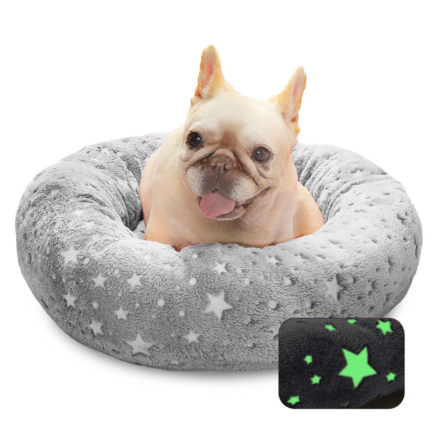 Glow in the dark Pet Bed