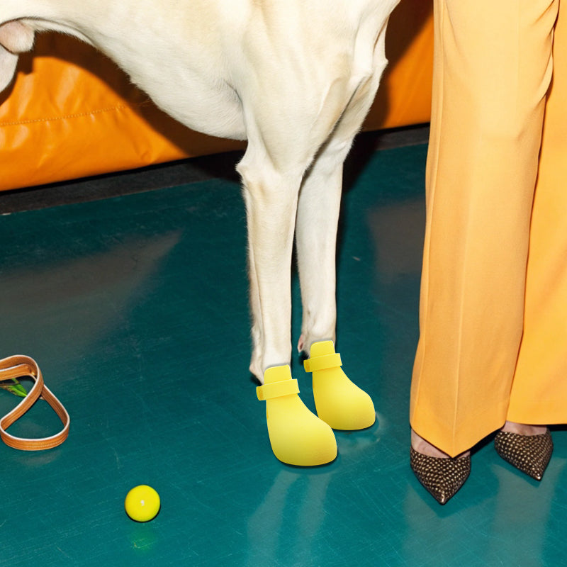 pet shoes-banana style