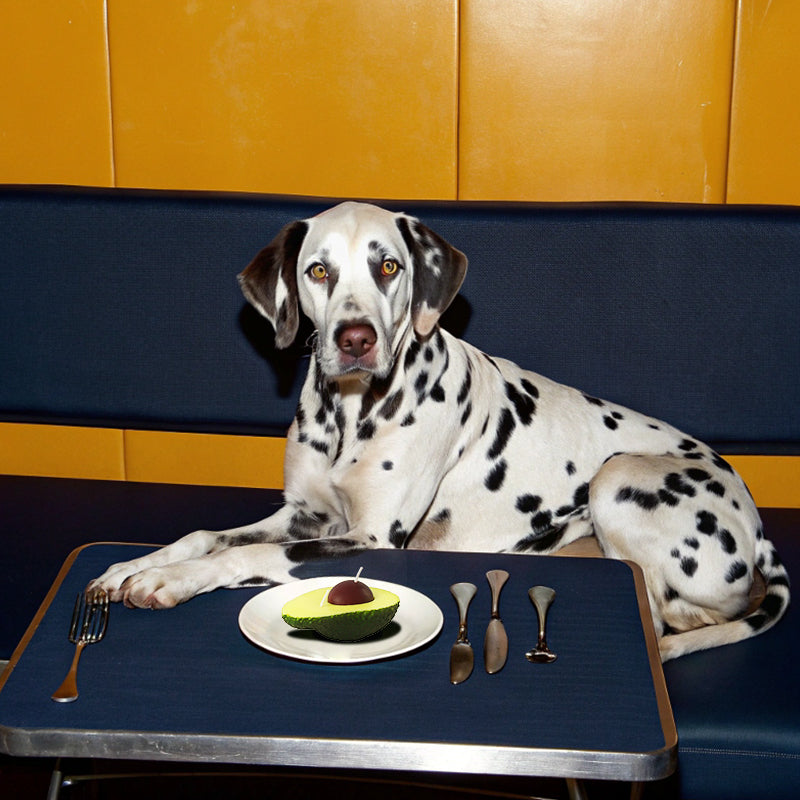 Pet Friendly Candles-avocado