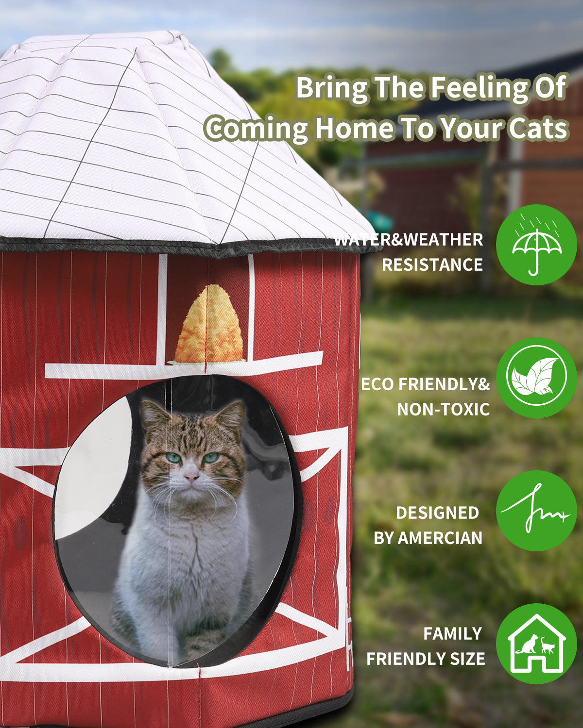 Heated cat Houses(Barn Design)