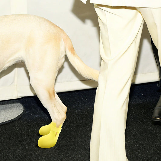 pet shoes-banana style