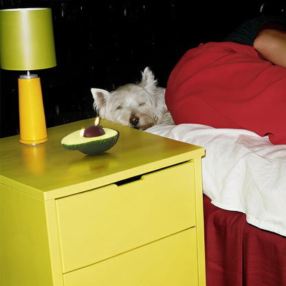 Pet Friendly Candles-avocado