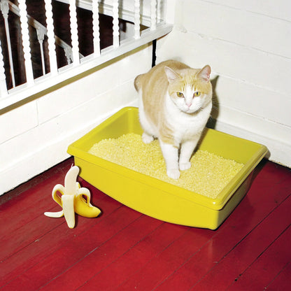 Pet Friendly Candles-banana